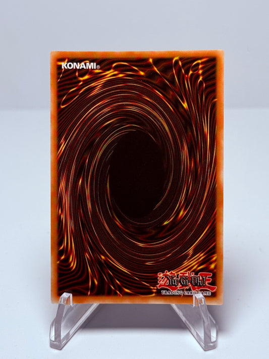 MAGNET WARRIOR OMEGA PLUS